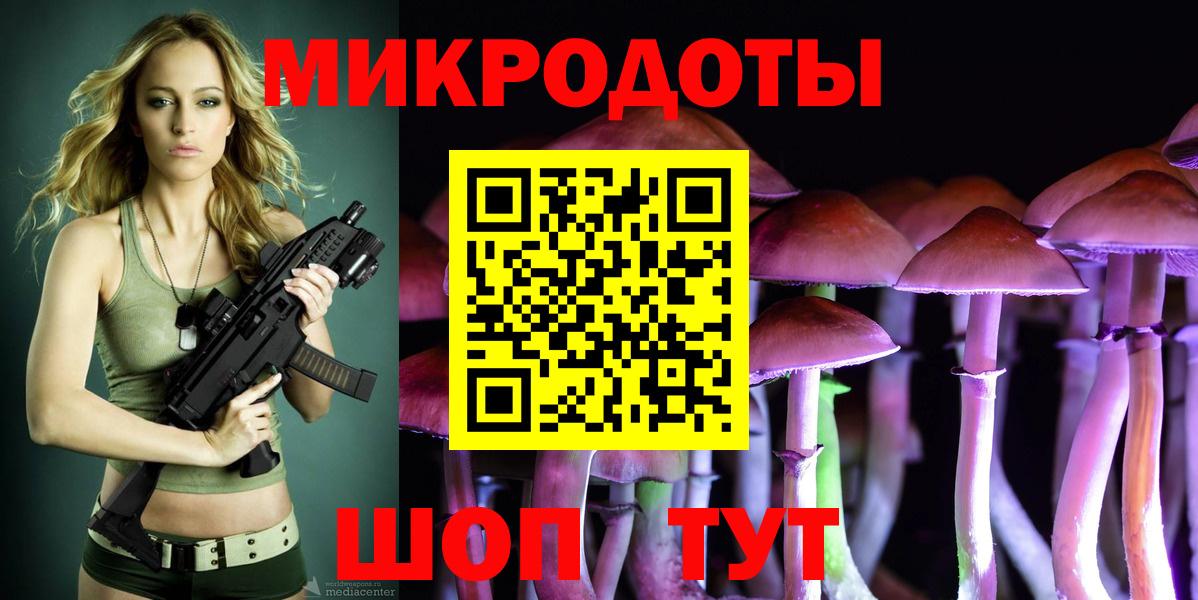 Галлюциногенные грибы Cubensis Ковров