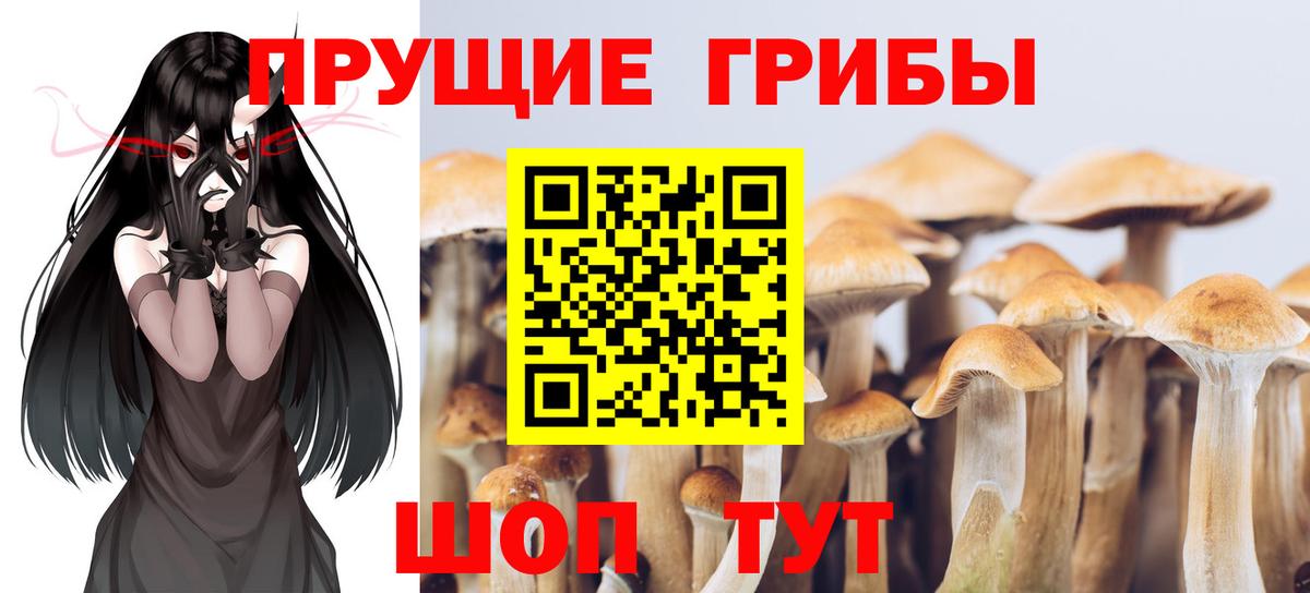 Ковров  Галлюциногенные грибы Psilocybine cubensis  Вход с VPN  Псилоцибиновые грибы мухоморы 